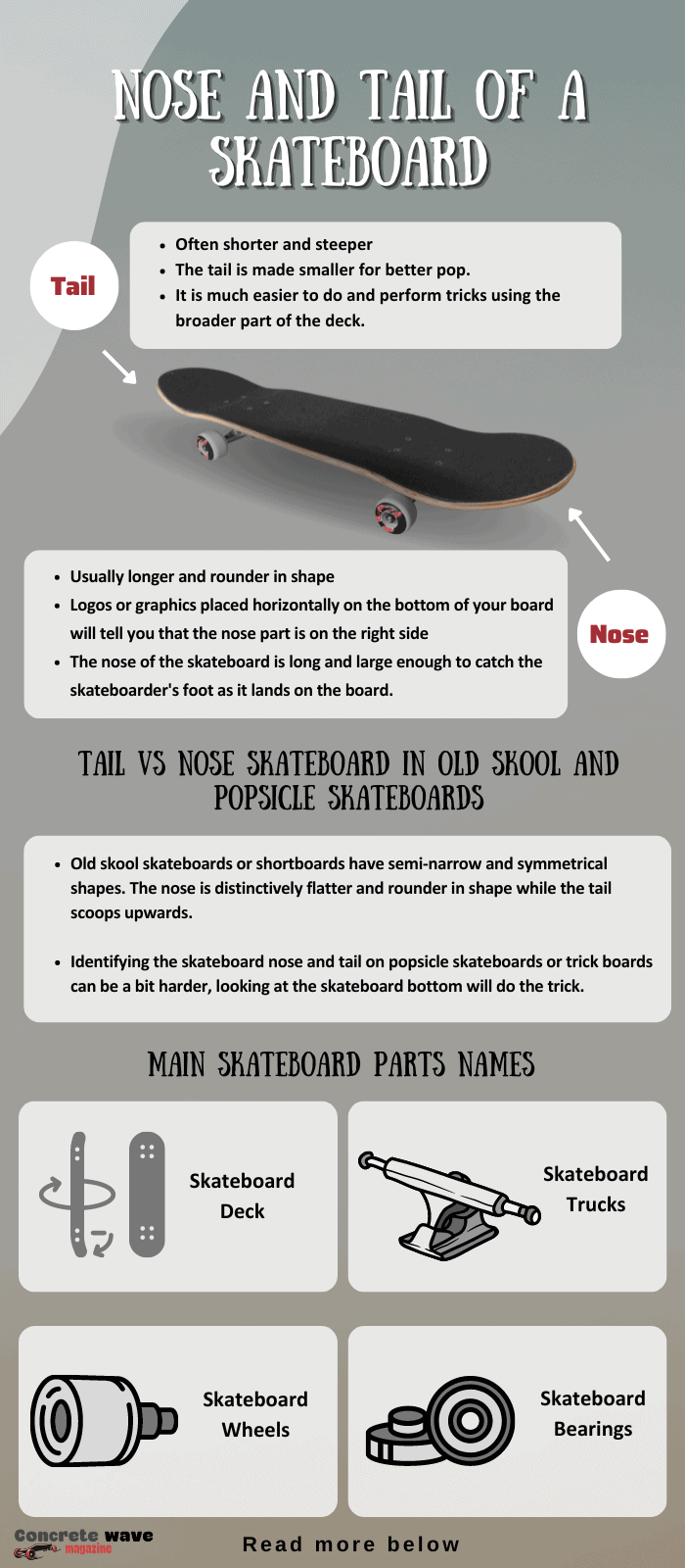 Nose Tail of a Skateboard: What Makes Them Different?